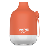 Vapsi OAO 6000 Puffs 12mL Disposable Peach Mango Watermelon