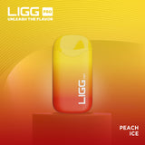 Ligg Pro Disposable ***
