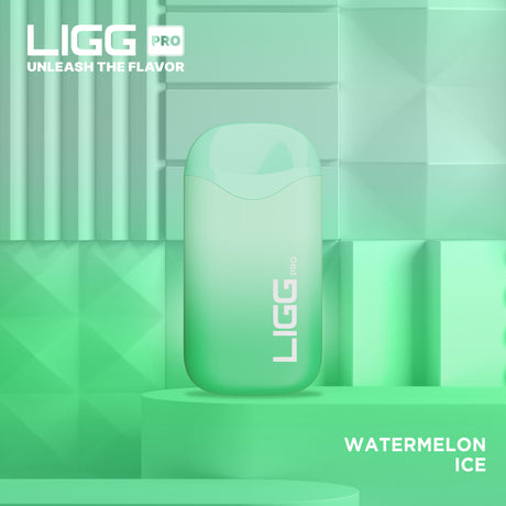 Ligg Pro Disposable ***