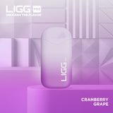 Ligg Pro Disposable ***