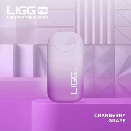 Ligg Pro Disposable ***
