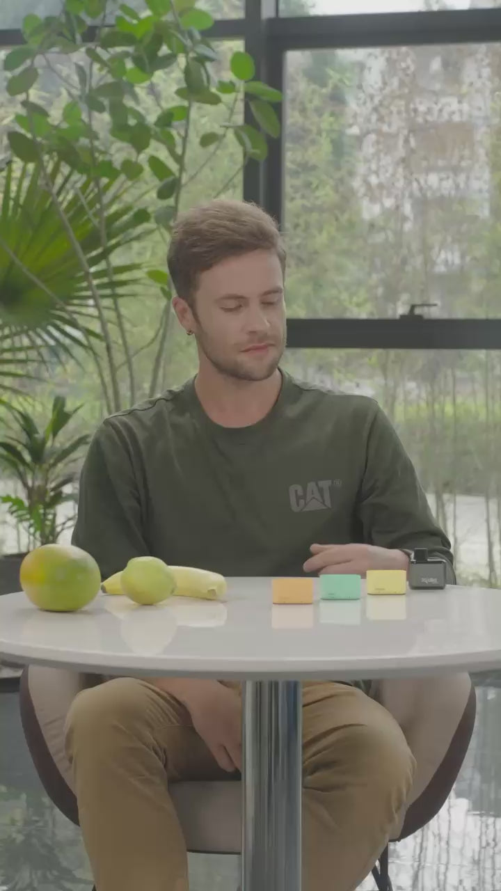 ZLand By ZLab Battery