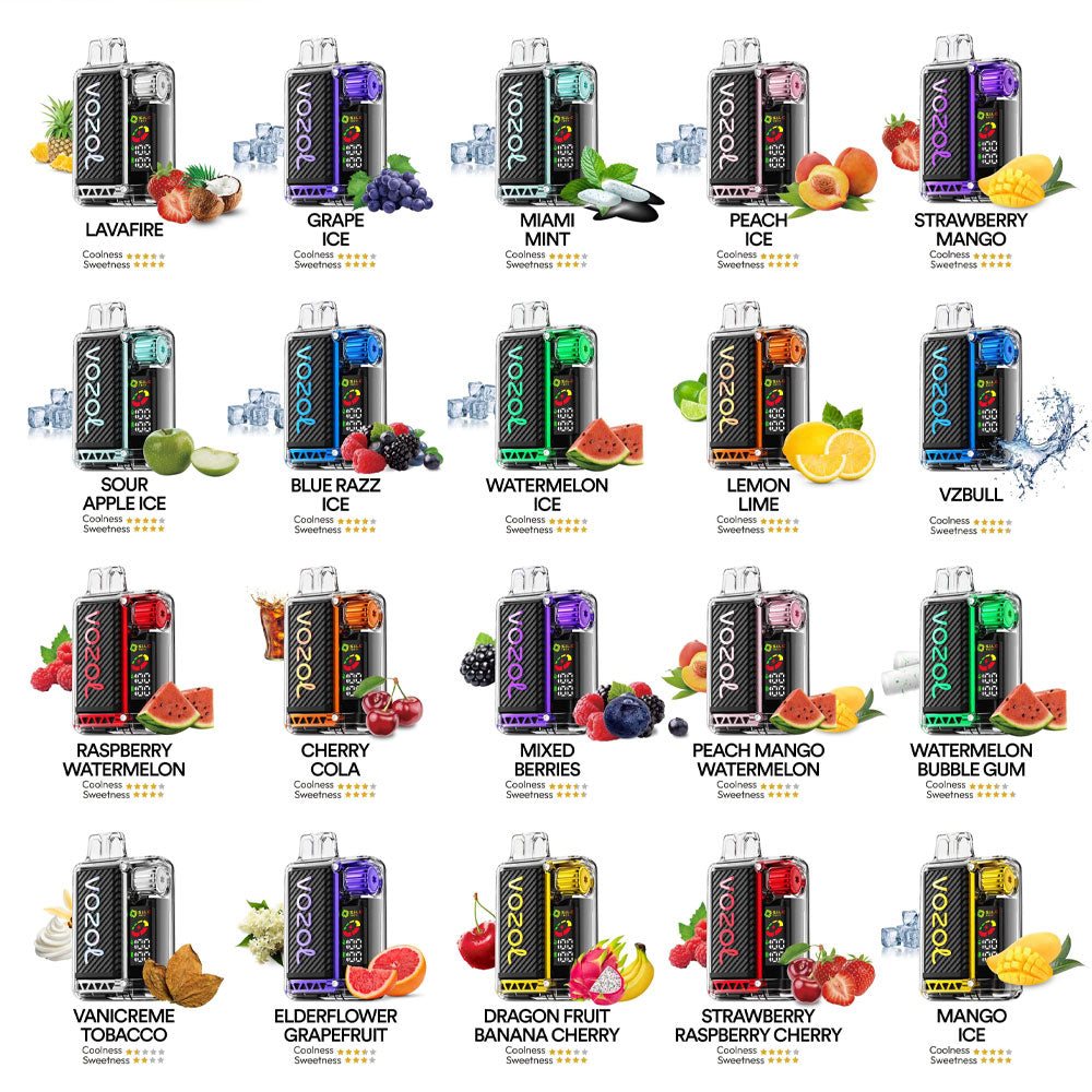 VOZOL Vista 16K Puffs Disposable Device - 16000 Puffs